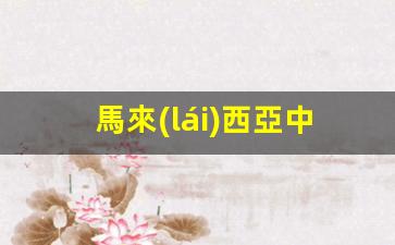 馬來(lái)西亞中國(guó)需要簽證嗎(馬來(lái)西亞去中國(guó)免簽嗎)
