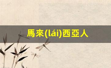 馬來(lái)西亞人到香港簽證(馬來(lái)西亞人到香港簽證怎么辦)