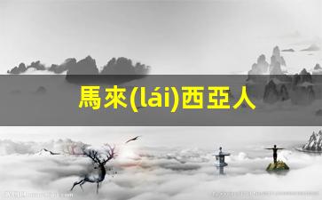 馬來(lái)西亞人越南簽證嗎(馬來(lái)西亞簽證能在馬來(lái)西亞呆多久)