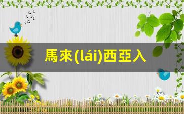 馬來(lái)西亞入境簽證彩打(馬來(lái)西亞入境登記卡)