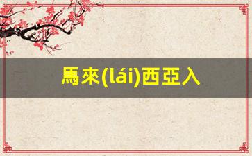 馬來(lái)西亞入境英國(guó)旅游簽證(馬來(lái)西亞簽證種類(lèi)及入境要求)
