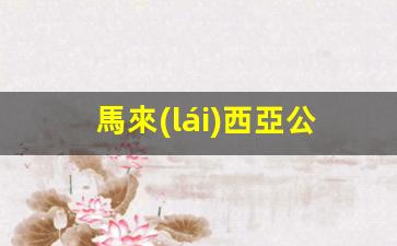 馬來(lái)西亞公民快速簽證攻略，申請(qǐng)流程與辦理?xiàng)l件解析