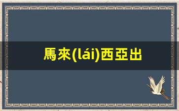 馬來(lái)西亞出境自由行攻略，輕松辦理旅游簽證全流程詳解