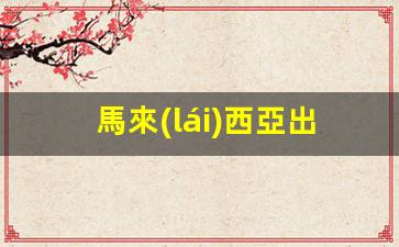 馬來(lái)西亞出境需要簽證(馬來(lái)西亞出境流程)