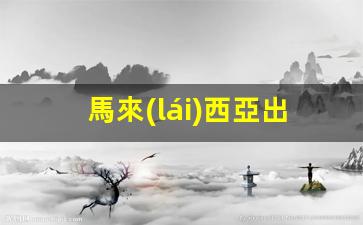馬來(lái)西亞出差簽證教程視頻(馬來(lái)西亞出差用什么簽證)