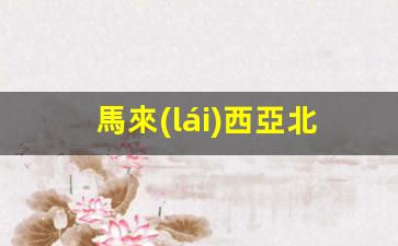 馬來(lái)西亞北京簽證處辦貼簽(去馬來(lái)西亞大使館貼簽需要什么材料)