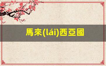 馬來(lái)西亞國(guó)王去英國(guó)簽證(馬來(lái)西亞 英國(guó))