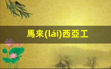 馬來(lái)西亞工作簽證一年幾次(馬來(lái)西亞一年工作簽證多少錢(qián))