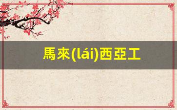 馬來(lái)西亞工作簽證可以考駕照嗎(馬來(lái)西亞務(wù)工簽證期限)