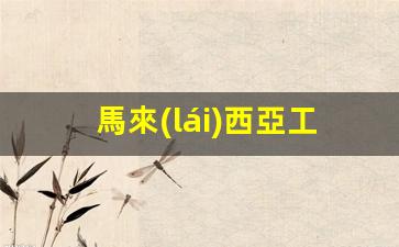 馬來(lái)西亞工作簽證學(xué)歷(馬來(lái)西亞工作簽證學(xué)歷可以不填寫最高學(xué)歷嗎)