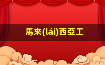 馬來(lái)西亞工作簽證官網(wǎng)地址(馬來(lái)西亞工作簽證官網(wǎng)地址查詢)