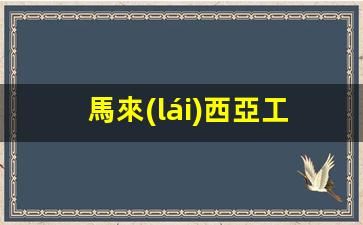 馬來(lái)西亞工作簽證費(fèi)多少錢(qián)(馬來(lái)西亞工作簽證難辦嗎)
