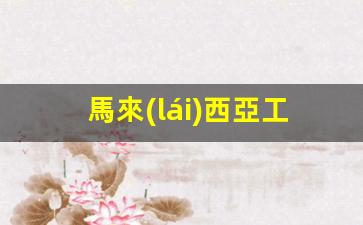 馬來(lái)西亞工作長(zhǎng)期簽證怎么辦(馬來(lái)西亞務(wù)工簽證期限)