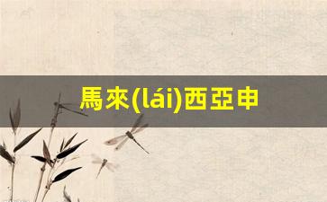 馬來(lái)西亞申請(qǐng)中國(guó)多次簽證(馬來(lái)西亞申請(qǐng)中國(guó)多次簽證有影響嗎)