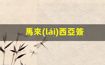 馬來(lái)西亞簽證申請(qǐng)攻略，一步到位，輕松獲得Social簽證通行證