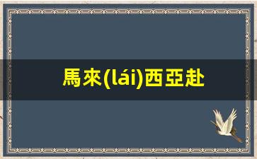 馬來(lái)西亞赴華加急簽證需要多久(馬來(lái)西亞辦理簽證要多久)