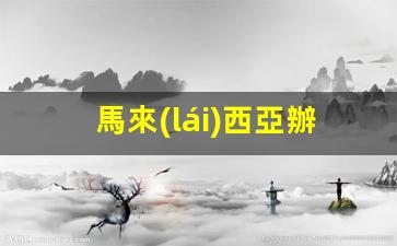 馬來(lái)西亞辦旅游簽證要哪些東西(馬來(lái)西亞旅游簽證需要什么材料)