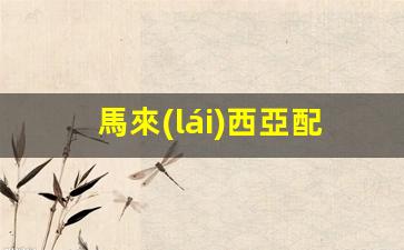 馬來(lái)西亞配偶簽證續(xù)簽流程詳解，馬來(lái)西亞婚簽續(xù)簽全攻略