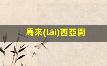 馬來(lái)西亞開(kāi)放旅游簽證嗎(馬來(lái)西亞旅游簽?zāi)艽魩滋?
