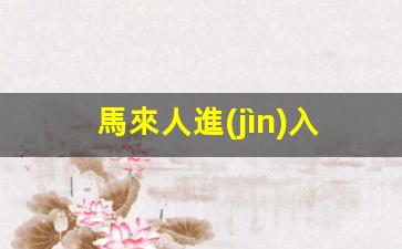 馬來人進(jìn)入馬來西亞要簽證嗎(馬來西亞人來中國需要什么證件)