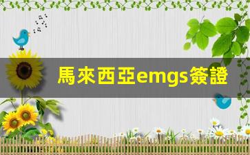 馬來西亞emgs簽證和移民局(馬來西亞移民局簽證審批費(fèi))