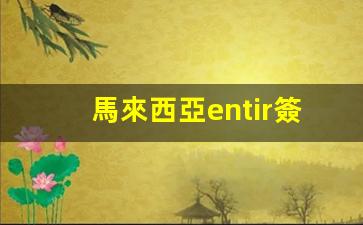 馬來西亞ENTIR簽證攻略，順利過海關(guān)全解析