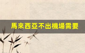 馬來西亞不出機場需要辦簽證嗎(馬來西亞不能入境)