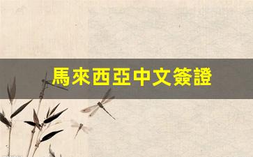 馬來西亞中文簽證(馬來西亞中文簽證好辦嗎)