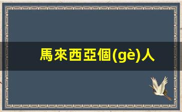 馬來西亞個(gè)人旅游簽證全攻略，申請(qǐng)材料與辦理流程詳解