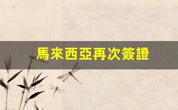 馬來西亞再次簽證(馬來西亞簽證續(xù)簽辦理流程)