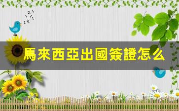 馬來西亞出國簽證辦理攻略，詳細(xì)條件與申請(qǐng)步驟解析