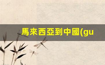 馬來西亞旅客2024最新指南，馬來西亞人入境中國(guó)簽證政策及所需材料