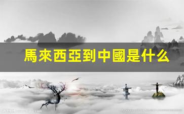 馬來西亞到中國是什么簽證(馬來西亞到中國簽證費(fèi)用)