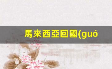 馬來西亞回國(guó)要簽證嗎(馬來西亞回中國(guó)需要簽證嗎)