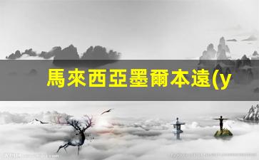 馬來西亞墨爾本遠(yuǎn)距離簽證(墨爾本2021188a最新簽證)