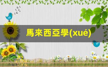 馬來西亞學(xué)生簽證入境要求(馬來西亞學(xué)生簽可以入境嗎)