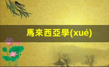 馬來西亞學(xué)生簽證辦理詳解，學(xué)生簽消簽流程及注意事項(xiàng)