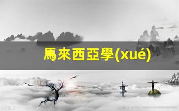 馬來西亞學(xué)生簽證費(fèi)用(馬來西亞學(xué)生簽證費(fèi)用高嗎)