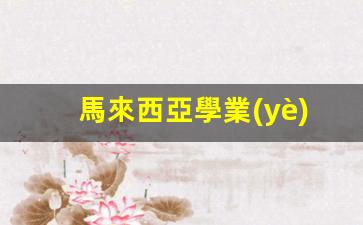 馬來西亞學業(yè)簽證怎么申請(馬來西亞學生簽證進度5%)