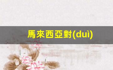 馬來西亞對(duì)中國(guó)護(hù)照免簽證(馬來西亞對(duì)華免簽)