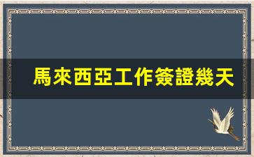 馬來西亞工作簽證幾天有效(馬來西亞工作簽證如何辦理)