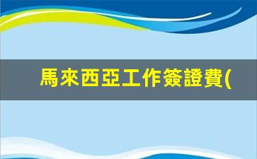 馬來西亞工作簽證費(fèi)用(馬來西亞工作簽證費(fèi)用多少錢)