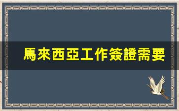 馬來西亞工作簽證需要什么材料(馬來西亞工作簽證種類)