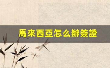 馬來西亞怎么辦簽證(馬來西亞簽證申請(qǐng)流程)