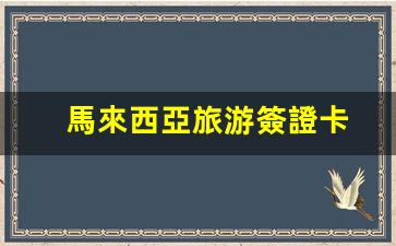 馬來西亞旅游簽證樣板解析，詳解馬來西亞旅游簽證卡申請攻略