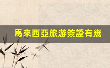 馬來西亞旅游簽證有幾種(馬來西亞旅游簽證有幾種類別)