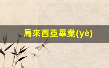 馬來西亞取消畢業(yè)學生簽證政策解析及簽證有效期詳解