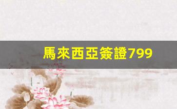 馬來西亞簽證799(馬來西亞簽證799是真的嗎)