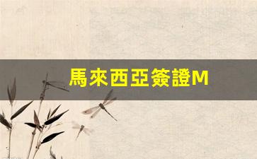 馬來西亞簽證辦理攻略，M類簽證申請流程解析及常見問題解答