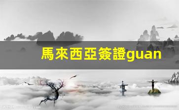 馬來西亞簽證guanwang(馬來西亞最新簽證政策)